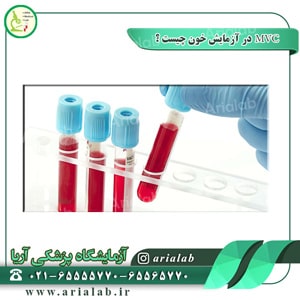 MVC در آزمایش خون چیست ؟
